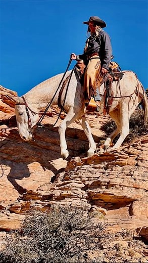 You can’t help but think about outlaws in the old west when your riding through country like this 🤠 #slickrock #mule #mules #horse #horses #equine #outlaws #oldwest | Mtn Built