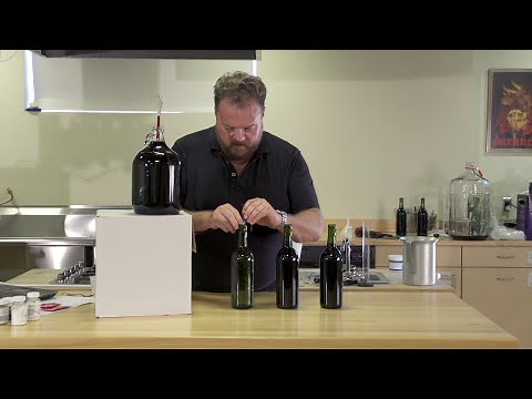 Making Wine From Fruit at Home