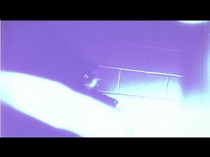 MorMor Basks In Uncertainty With 'Whatever Comes To Mind'