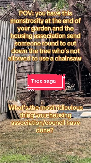 This has been a 3 year battle - this tree not only knocked down our fencing it also pushed over our shed! They then send someone round to cut down the tree who’s not allowed to use a chainsaw it’s that ridiculous it’s almost funny I’m sure there are lots of ridiculous things like this that council/ housing association tenants have experienced… #councilhouse #councilhouserepairs #mutualexchange #councilhousegarden #housingassociation
