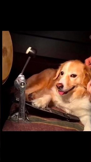 Best punk intro of all time?