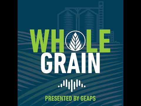 What Does a Test Tell You? How Sampling and Testing Protect Grain Safety and Quality