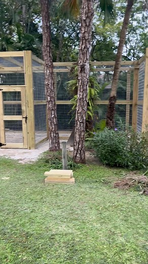 The sloth enclosure is almost finished. | Mark McCarthy