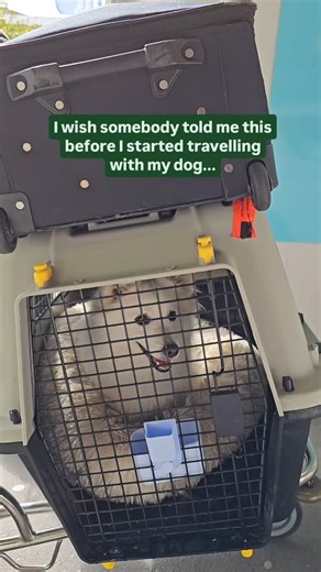 2.6K views · 36 reactions | Comment "waterfalls" to get your FREE...