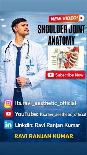 ᖇᗩᐯI ᖇᗩᑎᒍᗩᑎ Kᑌᗰᗩᖇ *PT* on Instagram: "Shoulder Joint (Glenohumeral Joint): Anatomy, Muscles, Ligaments & Pathology 1. Anatomy of the Shoulder Joint * Type of joint: Synovial, ball-and-socket, multiaxial joint. * Articulating surfaces: * Head of humerus (ball). * Glenoid cavity of scapula (socket). * Glenoid labrum: Fibrocartilaginous rim that deepens the socket and increases stability. * Joint capsule: Thin and lax, allowing wide range of motion. * Synovial membrane: Lines capsule and secretes s