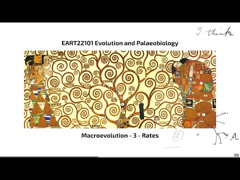 Macroevolution, Video 3 - EART22101 - Palaeobiology and Evolution