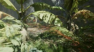 [Released] Tropical Forest Pack