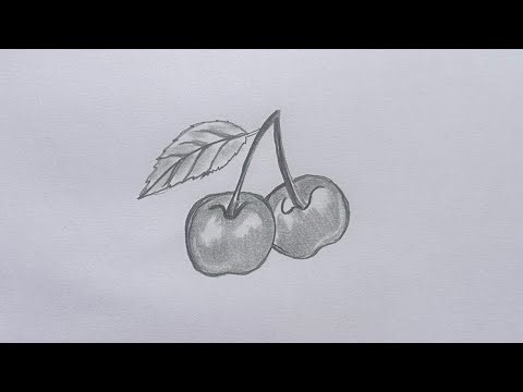 How to draw a cherry step by step!Easy drawing of cherry with pencil.