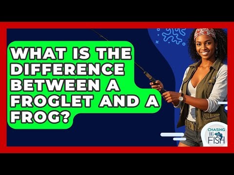 What Is The Difference Between A Froglet And A Frog? - Chasing Big Fish
