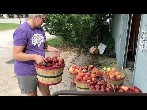 How to Make EASY Instant Pot APPLE BUTTER!