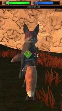 Wizard boss fight | Ultimate Fox Simulator