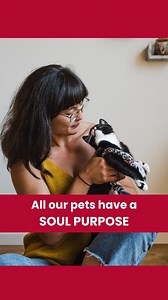 7.4K views · 272 reactions | Our pets are here with us for a reason!...