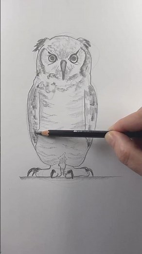 Draw an owl 🦉 Easy drawing lesson for beginners on how to draw an owl. #drawinglessons