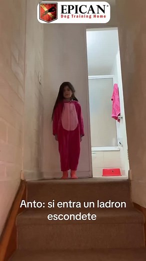 Epican Dog Training Center on Reels