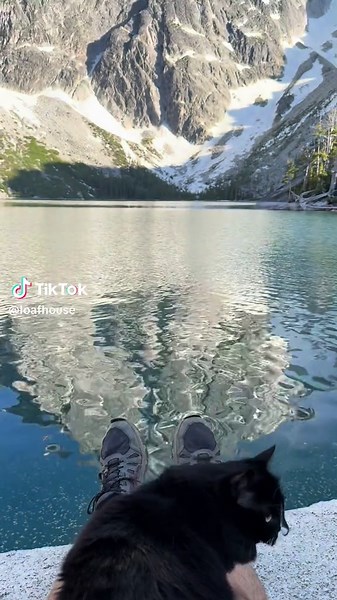 Loaf House on TikTok