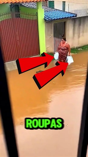 Alligator appears in flood and scares resident 😱🐊