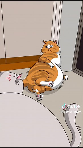 Hilarious Cat Moments Part 3: A Collection of Cat Memes