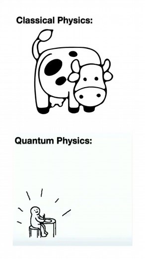 3.9K views · 31 reactions | #richardfeynman #quantumphysics #schrodinger #ohio #sciencememes #alberteinstein #Einstein #quantum #dankmemes #quantummechanics | The Physics Lab | Facebook