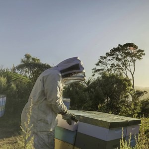 110 reactions · 21 shares | Discover the natural goodness of Mānuka honey | Manuka Health | Facebook