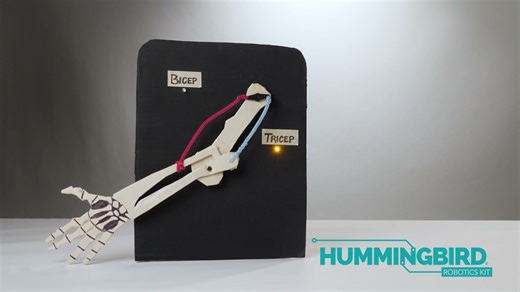 Design it. Build it. Code it. The Hummingbird Robotics Kit gives students the tools to create interactive robotic projects that combine coding, engineering, and creative problem-solving in one powerful learning experience. Bring everyday lessons to life w/ Hummingbird! See the kit in action ➡️ Link in comments | BirdBrain Technologies LLC.