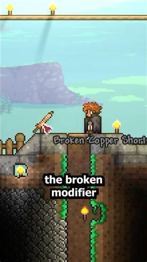 UNIQUE Modifiers in Terraria!