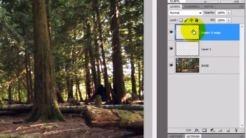 Photoshop tutorial: Forest sunbeams! How to make them filter through trees