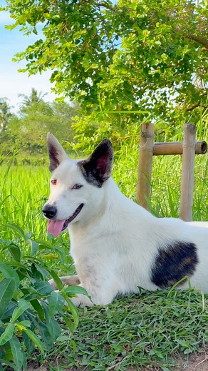 16M views · 361K reactions | New video po sa YouTube channel ko. Nilarang | Joseph The Explorer | Facebook