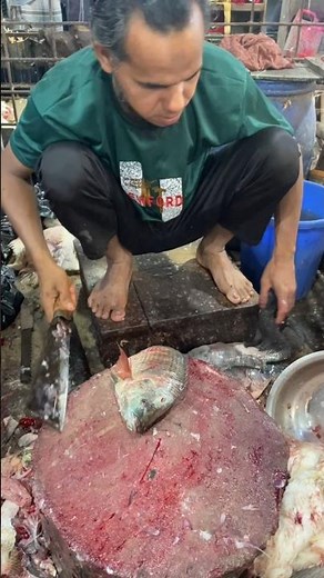 Super Fast Common Tilapia Fish Cleaning And Cutting By Experts Fish Cutter 😱 #shorts