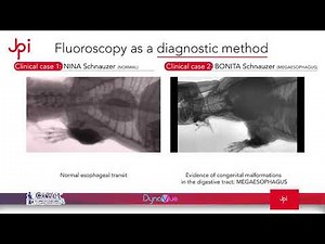Swallow Study Using DynaVue