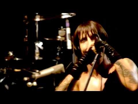 Red Hot Chili Peppers - Purple Stain - Live at Slane Castle