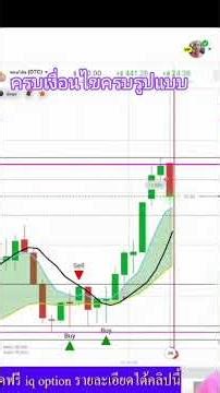 S221 meets all the requirements and specifications.