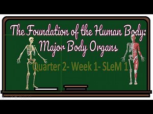 SCIENCE 4 QUARTER 2 MODULE 8: DESCRIBE THE MAIN FUNCTION OF THE MAJOR ORGANS #quarter2science4