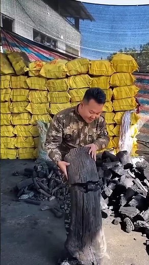 How Wood Turns Into Coal | The Science of Pyrolysis Explained 🔥🌳➡️🪨 #facts #ytshorts #trending