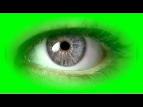 Beautiful Eye Green Screen 👁 | Blinking Eyes Green Screen