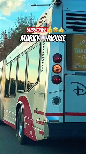 Trolly Disney Articulated Bus #trolly #bus #buses #busdriver #busdriving #driver #markymouse