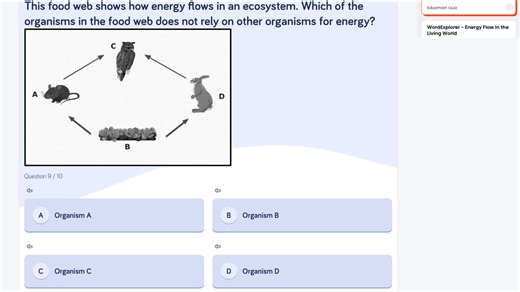 This food web shows how energy flows in an ecosystem. Which of ... | Filo
