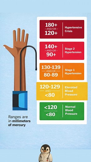 Blood Pressure Numbers: Normal to Dangerous Levels Explained
