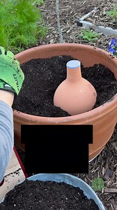 19K views · 207 reactions | It's tomato planting time here in the low...