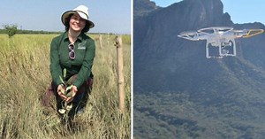These tree-planting drones are firing ‘seed missiles’ into the ground. Less than a year later, they’re already 20 inches tall.