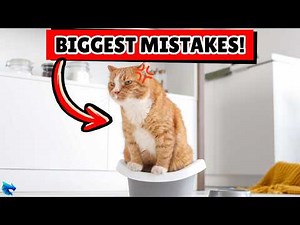 🐾Avoid These Litter Box Mistakes Cat Owners Make!