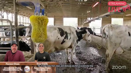 We are LIVE from Creekside Dairy for this mornings Virtual Farm Tour! | American Dairy Association North East