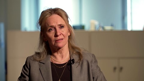 Iceland foreign minister 'optimistic' on EU membership by end 2028