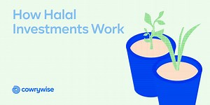 How Halal Investments Work