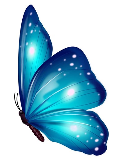 2X Butterfly Animal Stickers in Watercolor Style Wall Sticker Car Sticker Decoration Gift Idea for Nature Lovers - Etsy UK