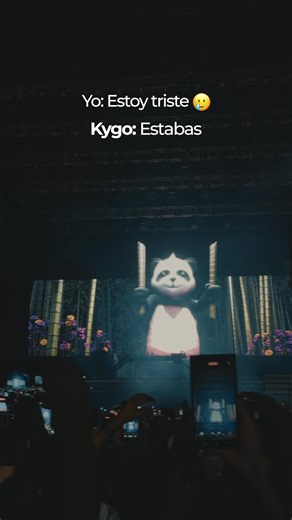 Re adorable el pandita en el show de Kygo 🐼🇵🇪🌴 . . . #kygo #concierto #lima #tendencia #panda