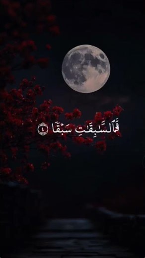 #قران_كريم #quranpak