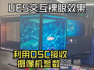 【UE5】实时裸眼3D效果，图像畸变，OSC内置插件获取深度位置，ALS跟随手部运动效果。