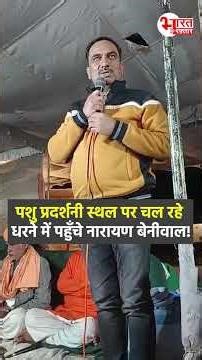 Narayan Beniwal Animal exhibition स्थल पर चल रहे धरने में पहुँचे...! #shorts #narayanbeniwal