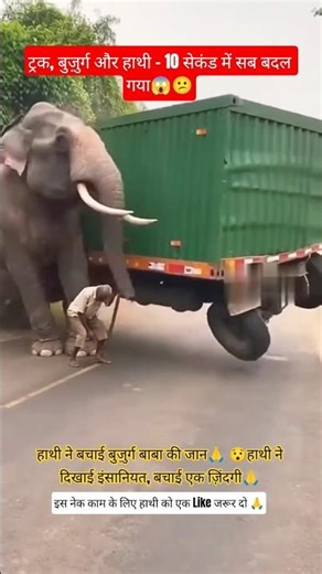 हाथी ने बचाई बुज़ुर्ग बाबा की जान 🙏😱#ytshorts #shorts #eliphent