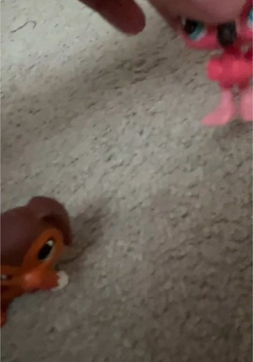 funniest lps tbh #littlestpetshop #littlestpetshopcollection #lpspopular #lpscollection